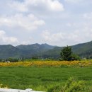 래미안밸리캠핑장 이미지