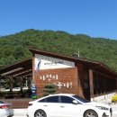 삼호민박 이미지