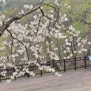 쉬자파크 이미지