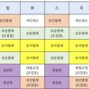 다산지금점발레의정원무용학원