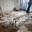 맑은창연구소 | 입주청소전문 맑은창연구소 수락리버시티청소 후기