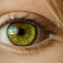 요가와 스트레칭 이미지