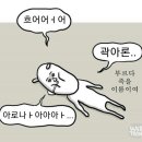 참치투어