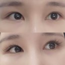 광교속눈썹연장 잘하는곳 퀄좋은 에어모 연장 후기 아름다운미뷰티