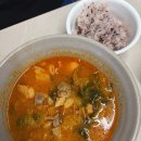 노이펫 | 2026 하블리 일상 (두번째 남해 쏠비치, 성심당 망고빙수)