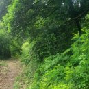 농암초교 청화분교장 이미지