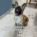 토리스토리 이미지