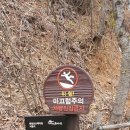 대청호오백리길 호반열녀길 이미지