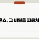 시온스 티스토리