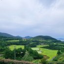 장수안포로 이미지