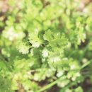 주신목장 이미지