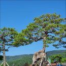 밤골경로당 | 전남 보성 밤골 율어 의 블로그 교육 농촌중심지활성화사업