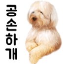 현대손세차출장