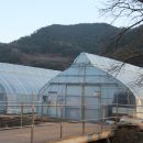 푸르뫼농장 이미지