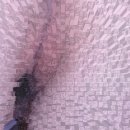 환타지아 이미지