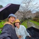 스테이인 호텔 봄 | 제주 서귀포 호텔 가성비 숙소 추천 올레스테이 조식 석식 후기