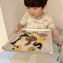 풀무원어린이집 | 풀무원 토이쿠키 만들기 후기｜아이랑 집에서 놀기, 엄마표 놀이