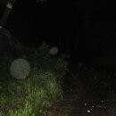 늘봄목장 이미지