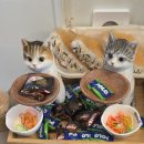 어진동_리슈빌S_입구 | [세종 유부초밥] 어진동 맛집 유부당 솔직 후기! 든든했던 점심 한 끼