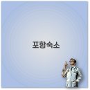 죽도민박 | 포항 오션뷰 가성비 독채 숙소 영일대 죽도시장 깔끔 정리