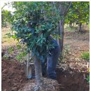 박실농장 이미지