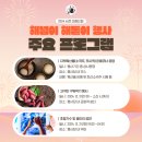 2025 해돋이 행사 이미지