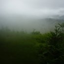 솔봉농원 이미지