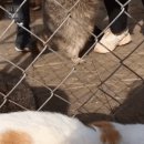 드림안마시술소 이미지