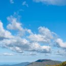 산과별 관광농원 이미지