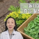 순수한약국 네이버블로그
