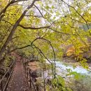 상원사 동종 | [오대산 선재길] 트레킹 완벽 정리 (상원사~월정사 코스) 대중교통 총정리