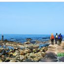 호미반도해안둘레길 이미지