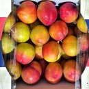 민생회복 지원금 이미지