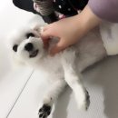 뽀야네 민박 이미지