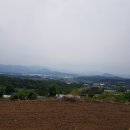김종찬농장 네이버블로그