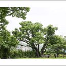 순흥도호부 유물 이미지