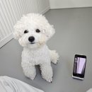 차차네 유치원 이미지