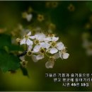 샬롬안경원