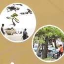 솟대광장 화장실 이미지