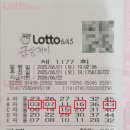 1177 | 제 1177회 로또 당첨 후기!