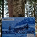 Rainy and cold days in my town 이미지