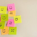 모브 피티 앤 필라테스 이미지