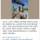 9.11 테러 사망자 = 미국 코로나19 1일 사망자 이미지