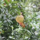 하늘빛 황토방 이미지