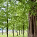 궁전숯불갈비 이미지