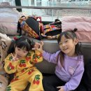 한양대 드림 태권도장 이미지