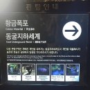 경기 가볼만한 곳 광명동굴 입장료 할인 방법 여름 나들이 솔직 후기