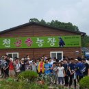 진명농장 이미지