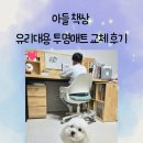 유리나무 | [내돈내산] 초등나무책상매트 추천! 유리대용 PVC 투명매트 교체 후기 ❤️