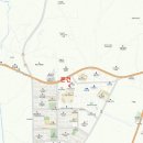 안중초롱길 이미지